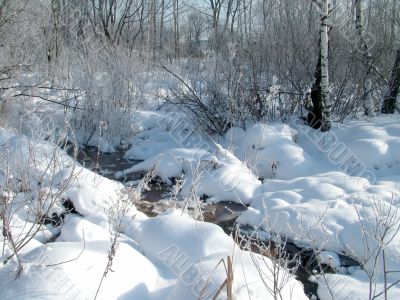 Winter view