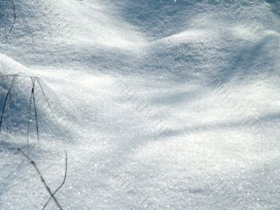Winter view