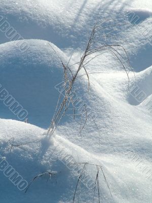 Winter view