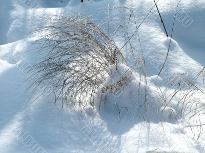 Winter view
