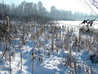 Winter view