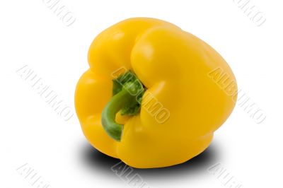 Yellow paprika isolated