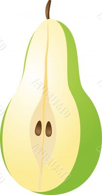 Pear illustration