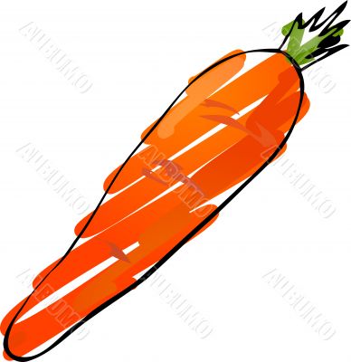 Carrot sketch