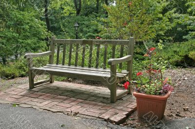 Bench and Flowers