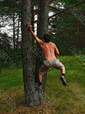 games on nature