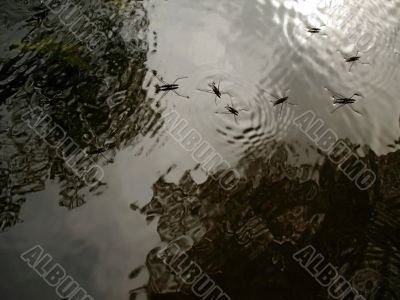 running on water