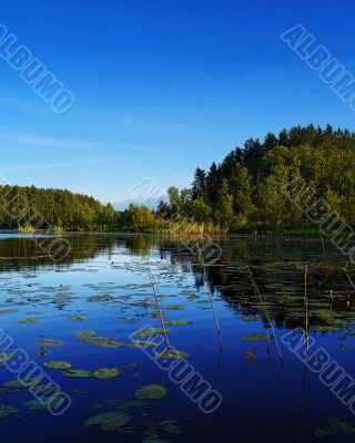 lake in blue