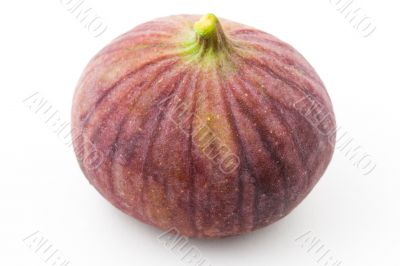 Fig isolated