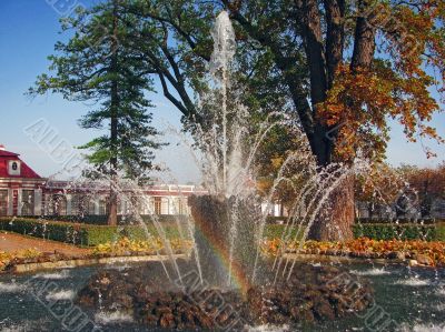 Water fountain