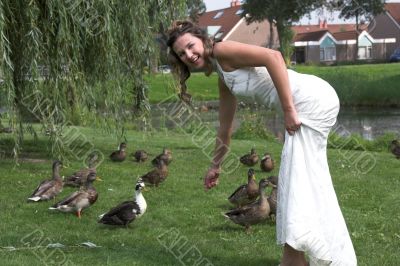 Tempting the ducks in the park