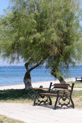 Bench in the park next to the sea and beach