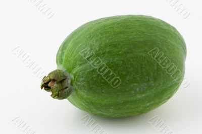 Feijoa