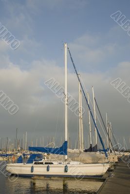 sailboats in harbor