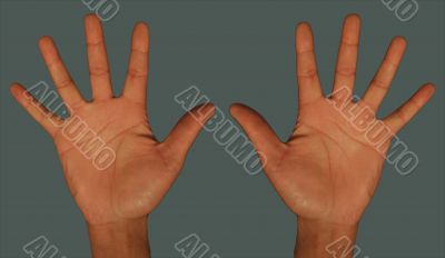 Hands On Grey