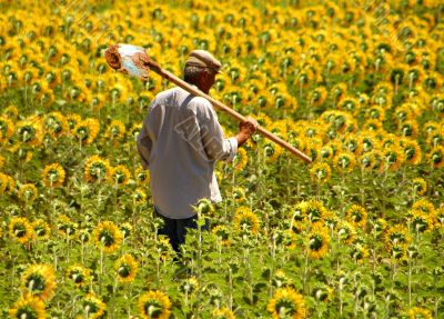 Farmer