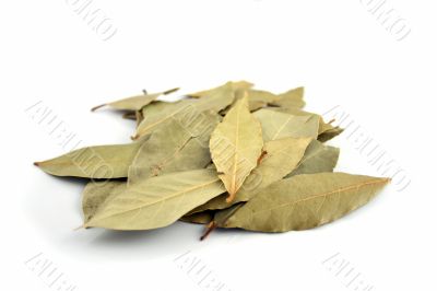 Spice - Bay Leaves