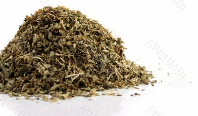Close up of Oregano on an isolated background