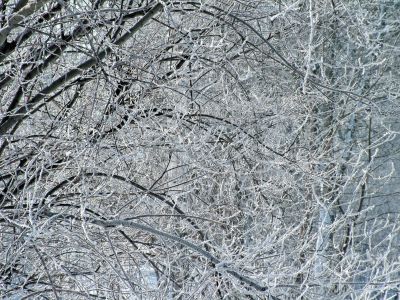 Winter ornament