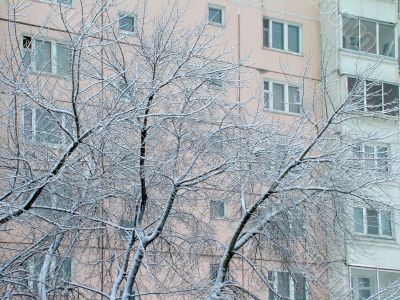 Pink house