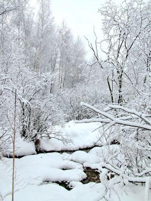 Winter view