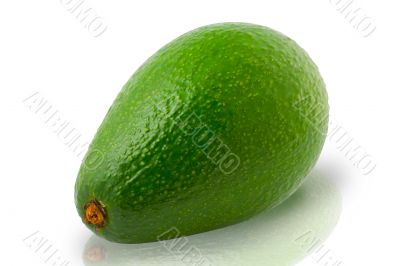 Avocado isolated