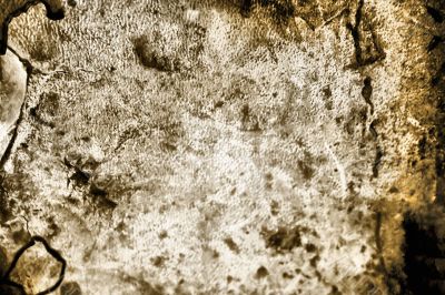 Rusty Grunge
