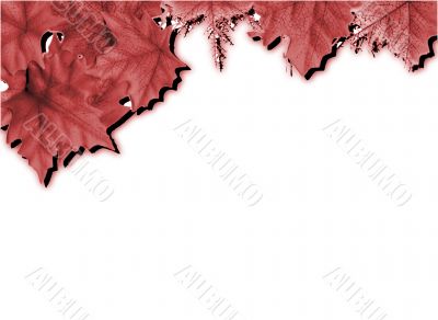 Different kinds of leaves design