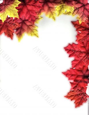 Autumn Leaves Design
