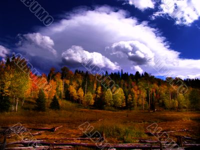 Fall Clouds