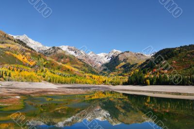 Fall Reflections