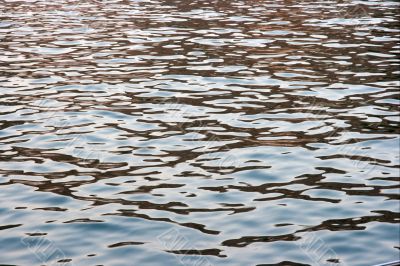 Water
