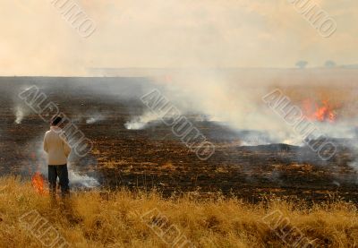 Field On Fire