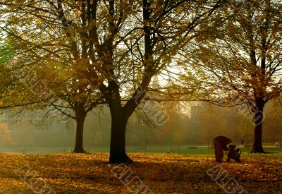 Autumn