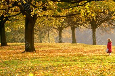 Alone In The Park