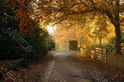 Autumn