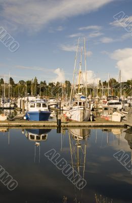 Blue and White Boats at Dock