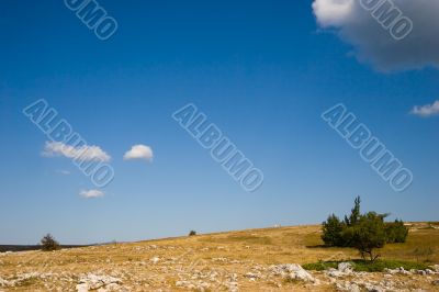 hot landscape