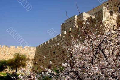 Spring In Jerusalem