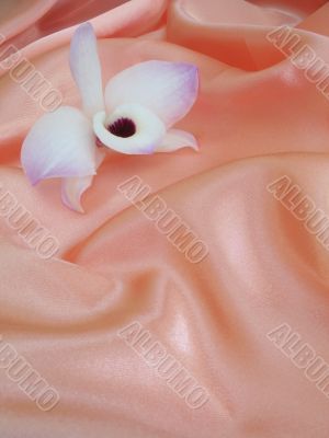 Orchid on pink satin - 3