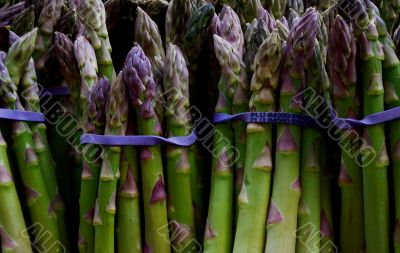 Colorful Organic Asparagus