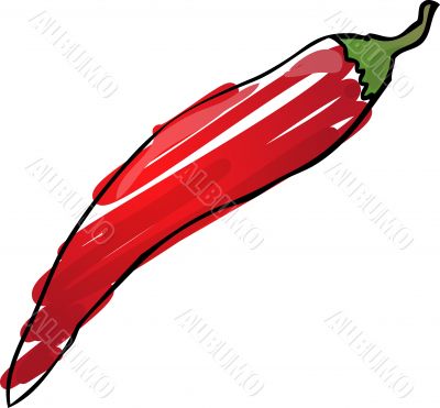 Chilli sketch