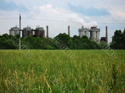 plant and field