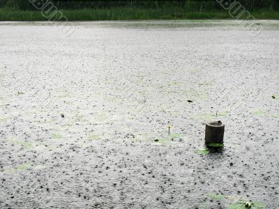 lake under rain
