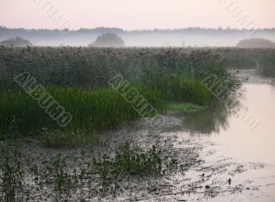 mist on river