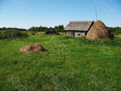 village meadow