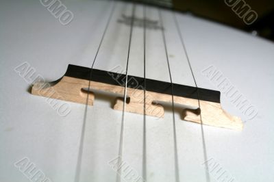 Musical Instrument