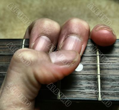 Musical Instrument