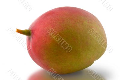 Mango isolated