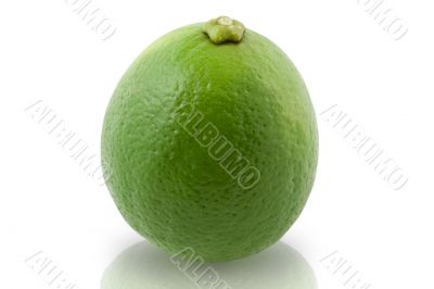 Lime isolated